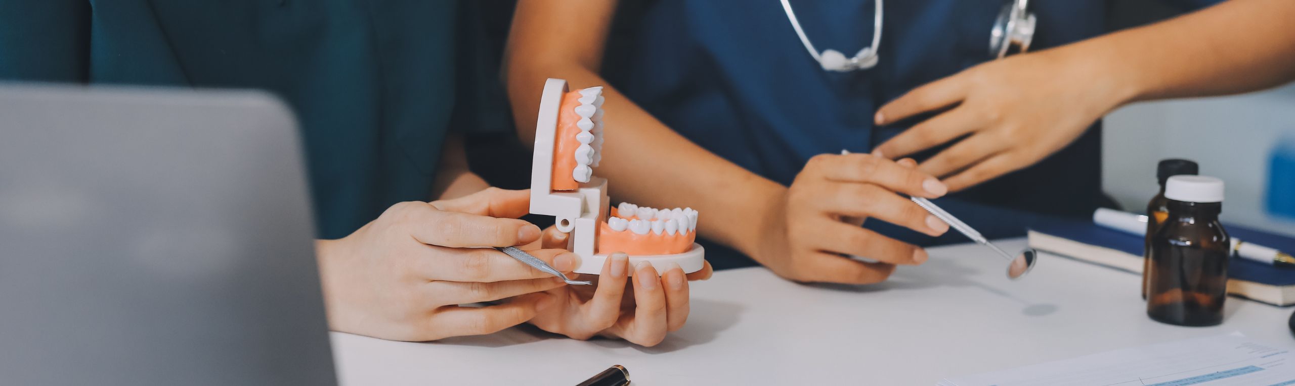 Two dentists looking at fake teeth