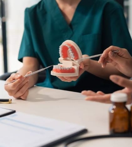 dentist showing fake teeth