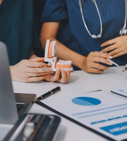 Dentists sitting at a desk showing fake teeth